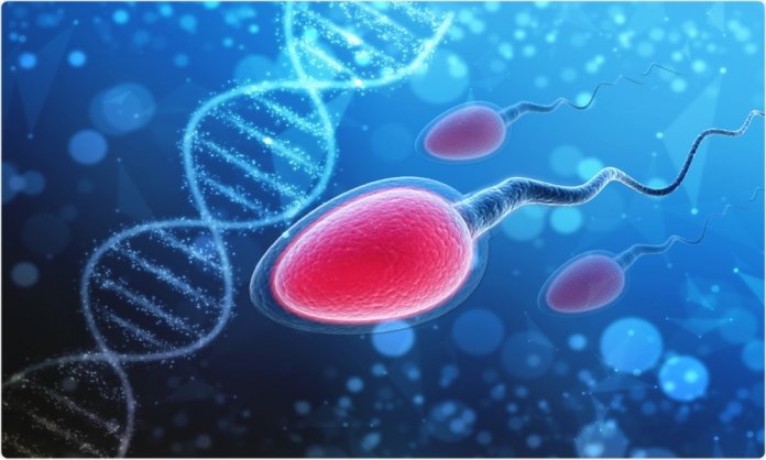 covid-19 sperm count quality