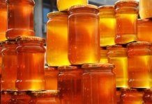 billion tree honey