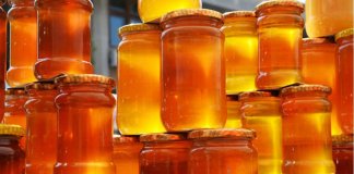 billion tree honey