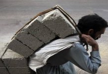 Labour force third Highest contribution by Pakistan