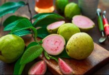 guava recipes