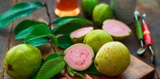 guava recipes