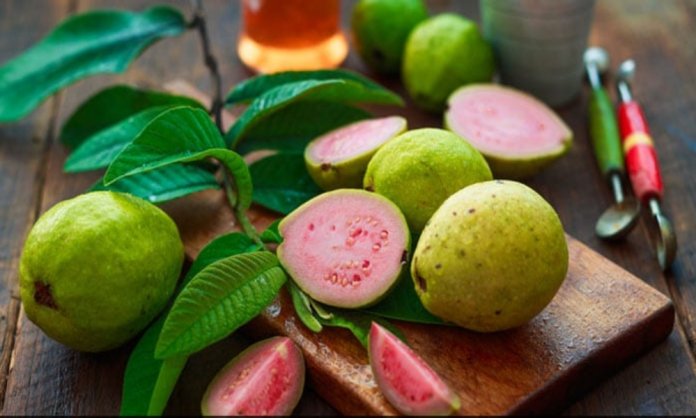 guava recipes