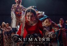 ali xeeshan anti-dowry