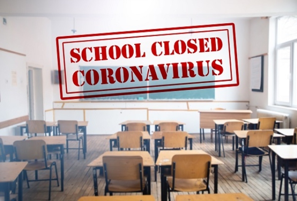 shafqat mehmood schools