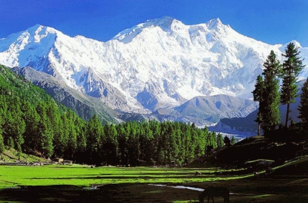 pakistan tourism