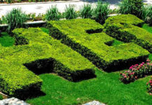 HEC Ehsaas Program