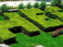 HEC Ehsaas Program