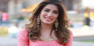 mehwish hayat picture trolls