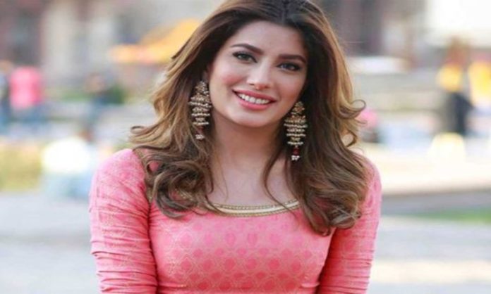 mehwish hayat picture trolls