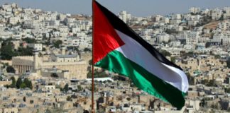 Help Palestine