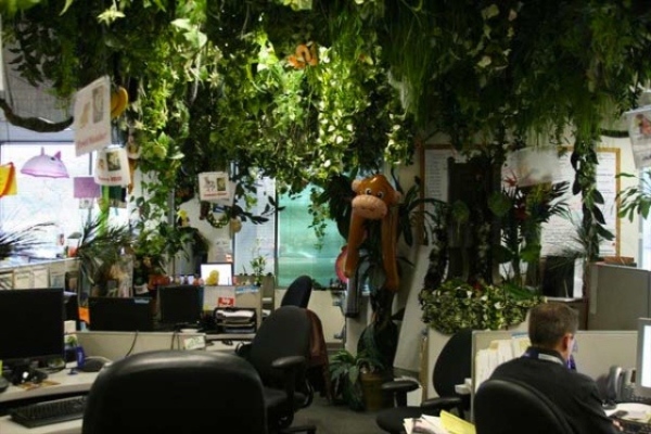 cool offices world