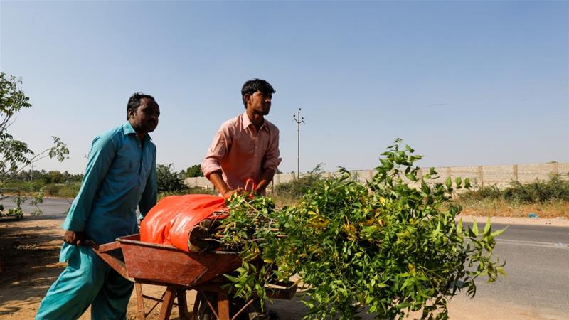 university students plant trees