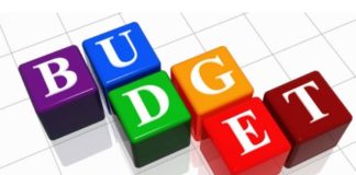 budget for pakistan 2021-22 devs