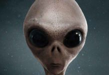 alien or ghost