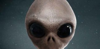 alien or ghost