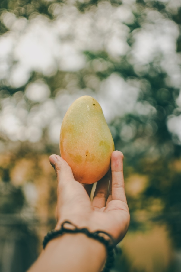 to buy perfect mangoes tips