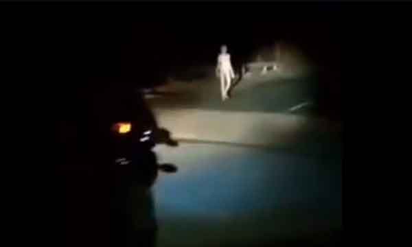 alien or ghost