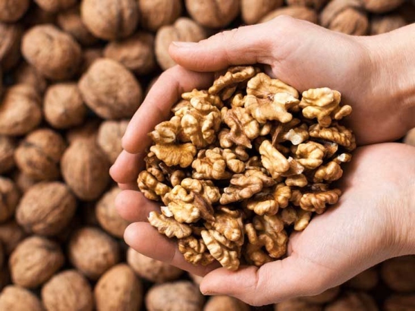 nuts help lose weight