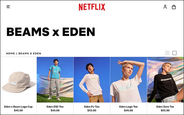 netflix launches online store