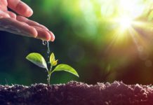national foods World Environment Day
