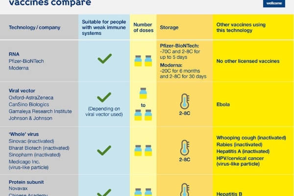 how to tell covid vaccination accepted travel destination