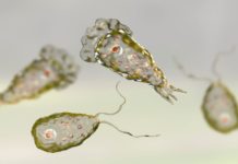 5 Ways To Protect Yourself From The Lethal Naegleria Fowleri