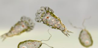 5 Ways To Protect Yourself From The Lethal Naegleria Fowleri