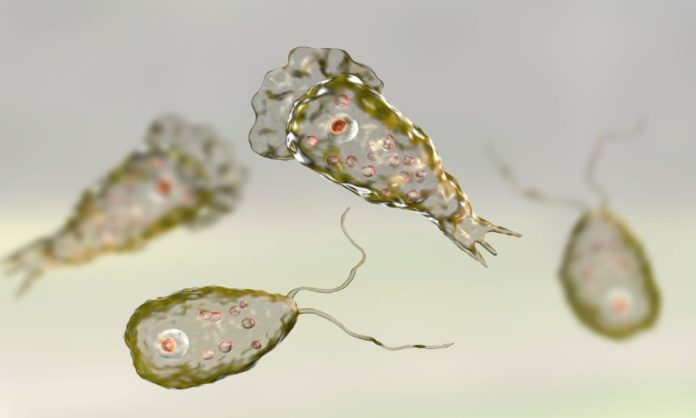 5 Ways To Protect Yourself From The Lethal Naegleria Fowleri
