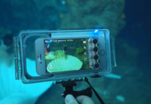 top photography phones for underwater