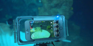 top photography phones for underwater