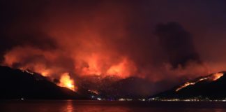 fires turkey burns