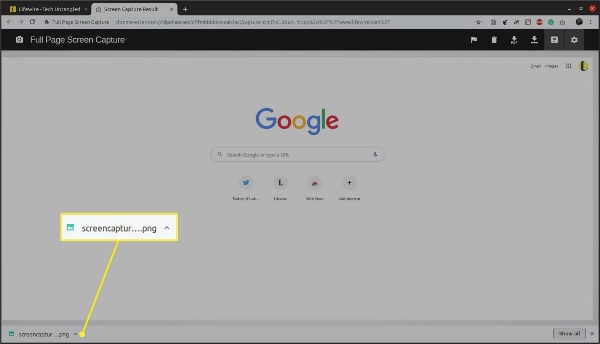 google new feature website