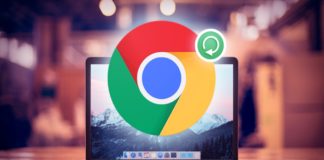 google new feature website