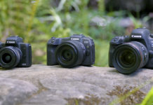 DSLR fading away and mirrorless coming