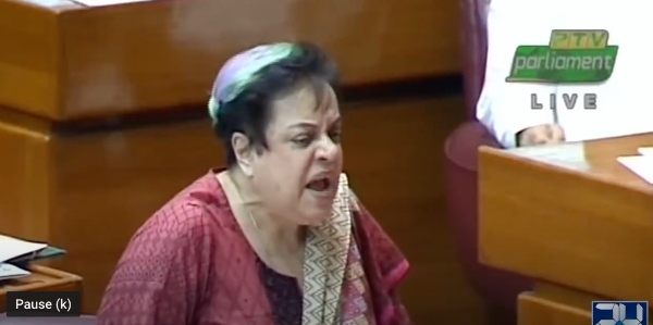 men stay at home shireen mazari