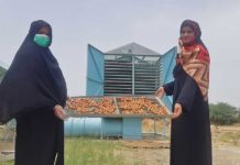 date production innovative technology khairpur