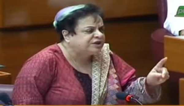 men stay at home shireen mazari