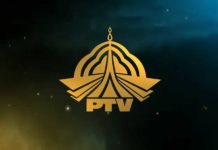 ptv internship opportunities
