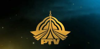 ptv internship opportunities