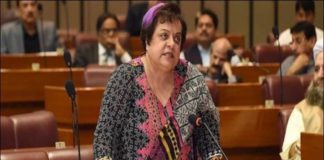 men stay at home shireen mazari