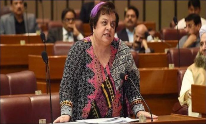 men stay at home shireen mazari