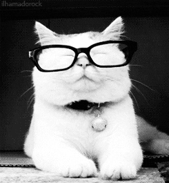 glasses to wear while walking smart ones
