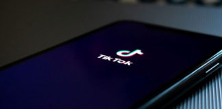 tiktok new api for brands and creators