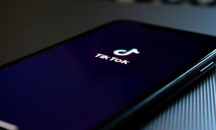 tiktok new api for brands and creators