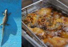 lizard fried pakora