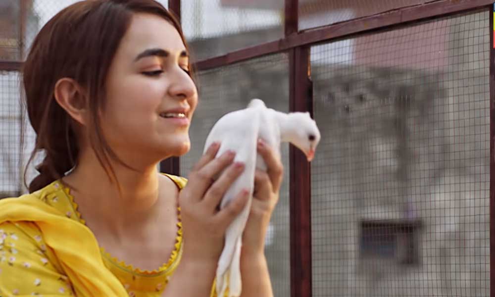 ishq e laa yumna zaidi