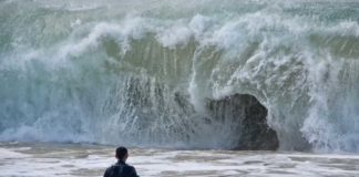 tsunami awareness day