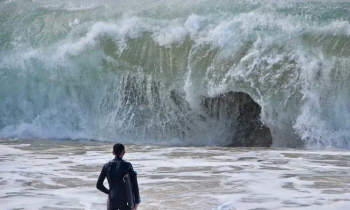 tsunami awareness day