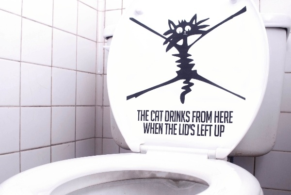 toilet manners